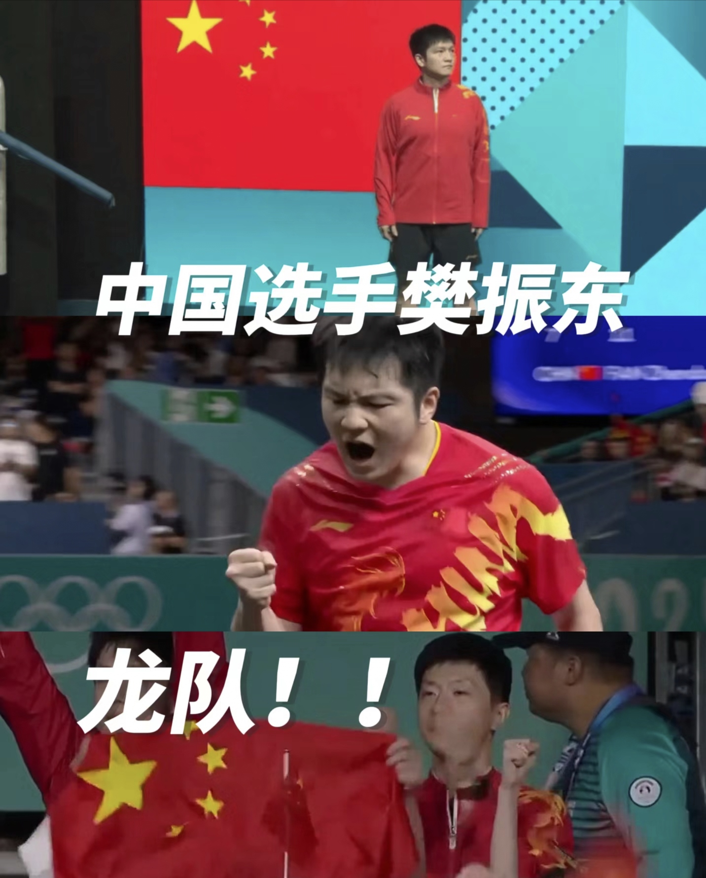 PG中国登录入口-英格兰队完胜中国队，樊振东点燃赛场